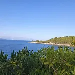 Mala Basina -Maslina