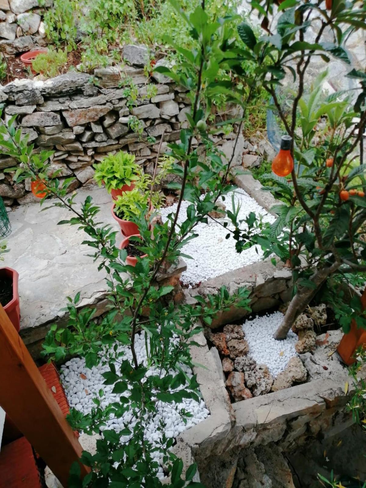 Mala Basina -maslina Apartment *